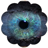 famous indian astrologer and psychic
                                       